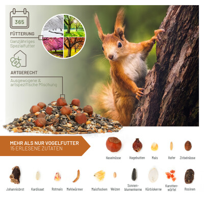 Spezialfutter für Eichhörnchen 1kg (inkl. Nachtisch)