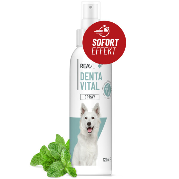 Denta Vital Spray 120ml