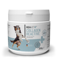 Collagen Reactive 250g