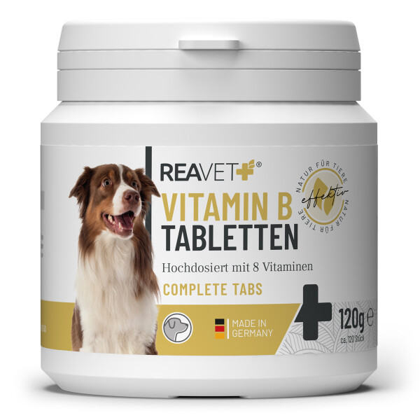 Vitamin B Tabletten 120Stk