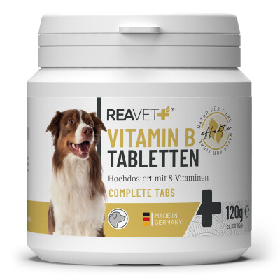 Vitamin B Tabletten 120Stk